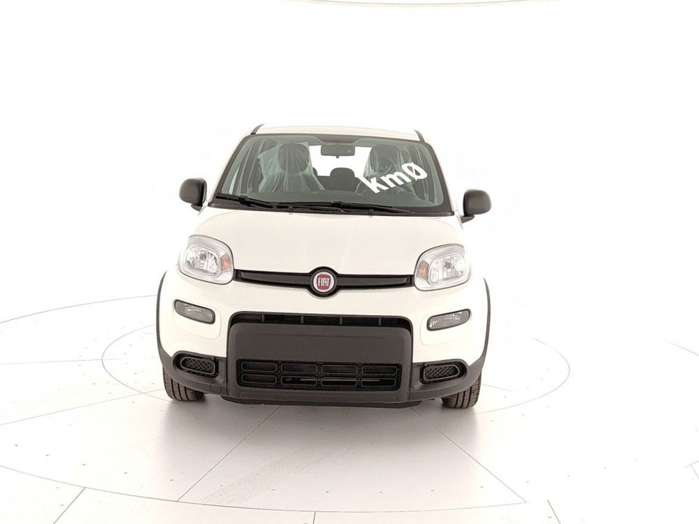 Fiat Panda Cross nuova a Caserta (2)