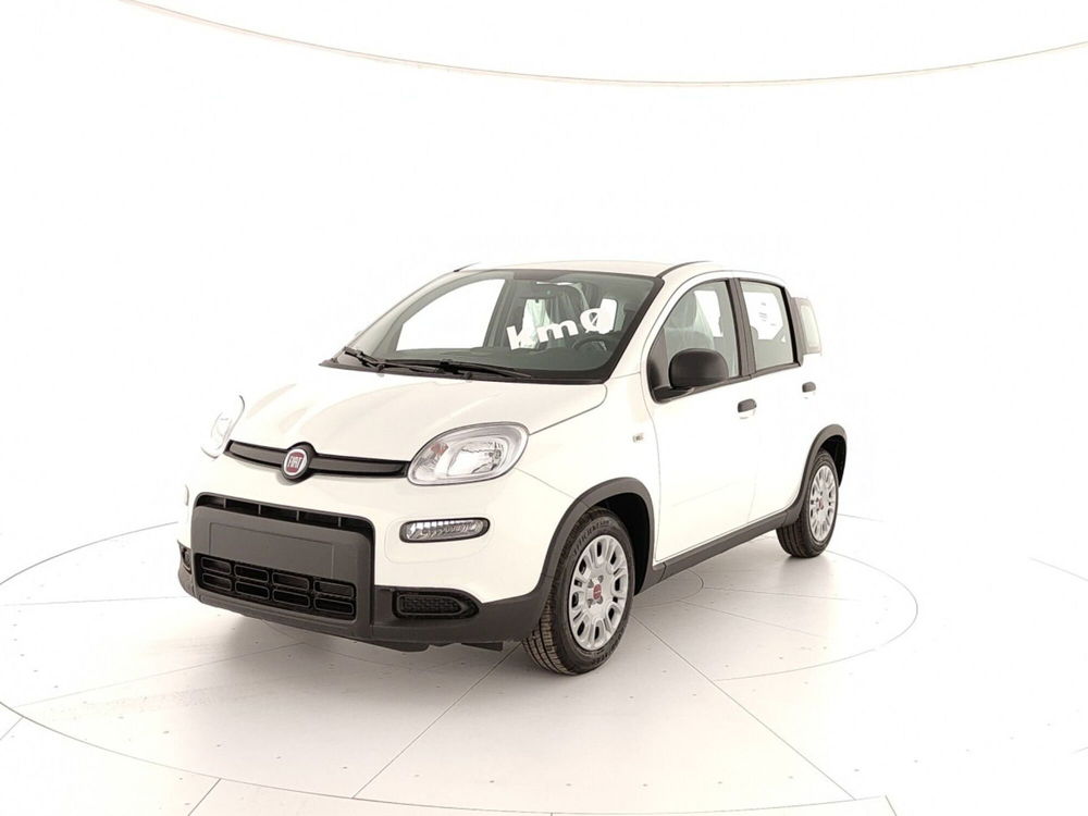 Fiat Panda Cross nuova a Caserta (3)