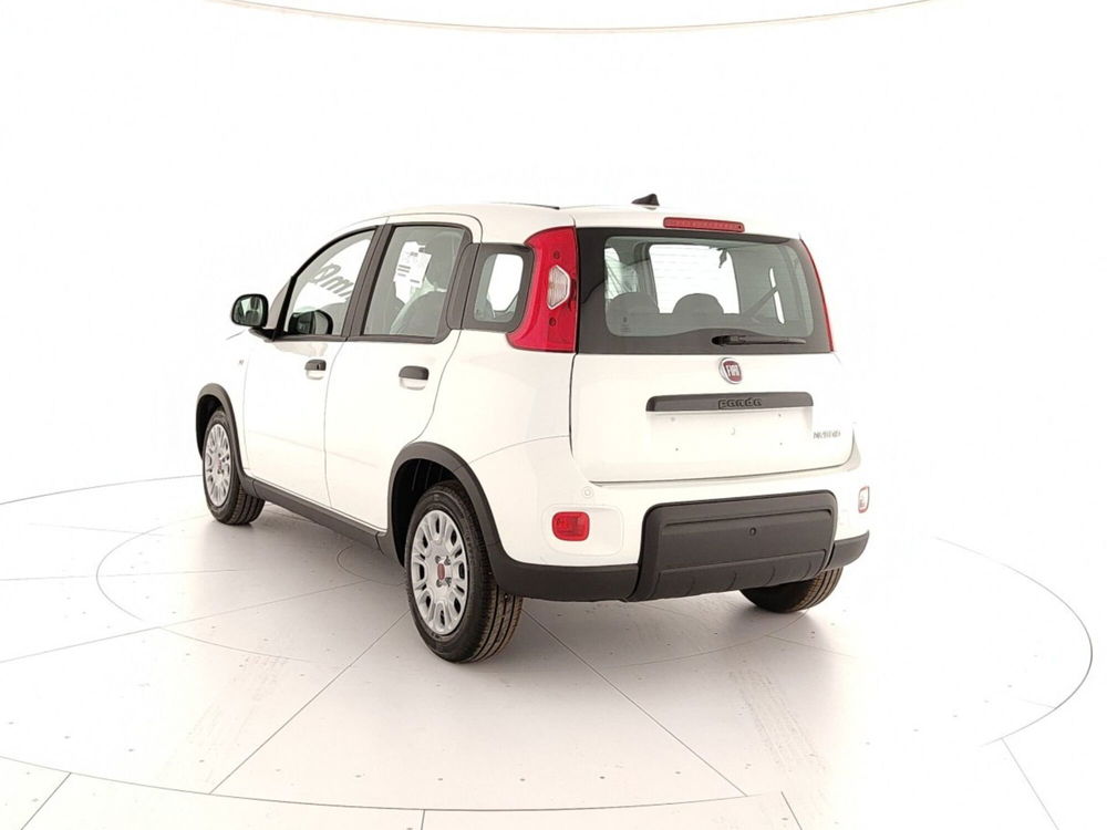 Fiat Panda Cross nuova a Caserta (4)