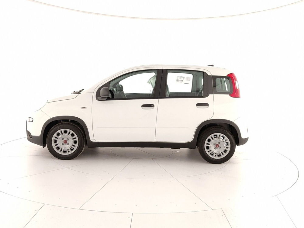 Fiat Panda Cross nuova a Caserta (8)