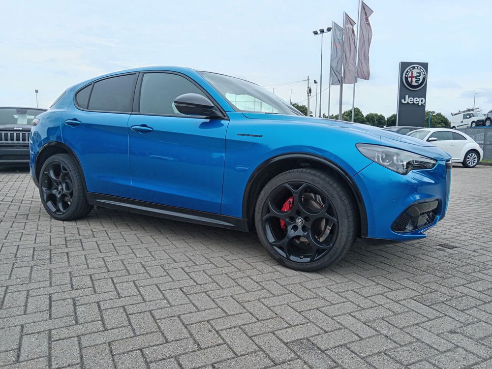 Alfa Romeo Stelvio usata a Alessandria (3)