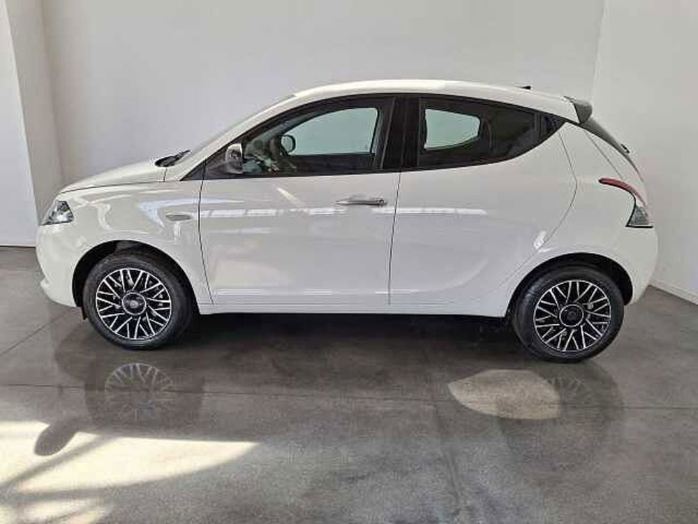 Lancia Ypsilon nuova a Chieti (5)