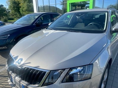 Skoda Octavia Station Wagon 1.0 TSI Wagon Active  del 2018 usata a Paruzzaro