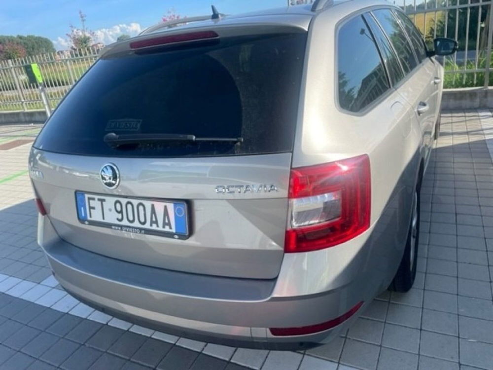 Skoda Octavia Station Wagon usata a Novara (2)