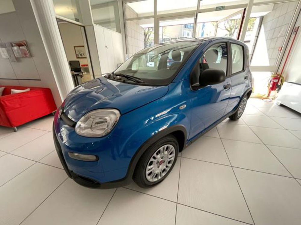 Fiat Panda nuova a Cuneo (3)