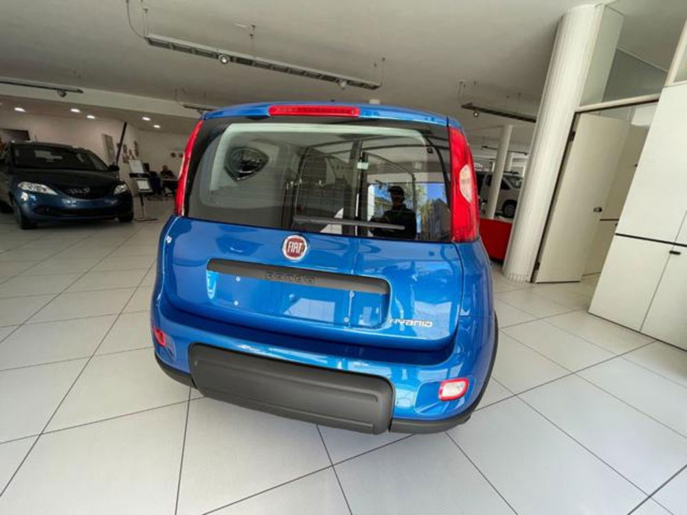 Fiat Panda nuova a Cuneo (4)