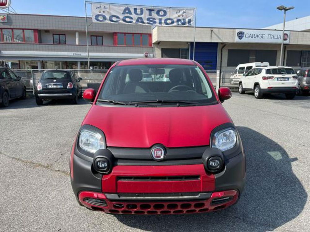 Fiat Panda nuova a Cuneo (4)