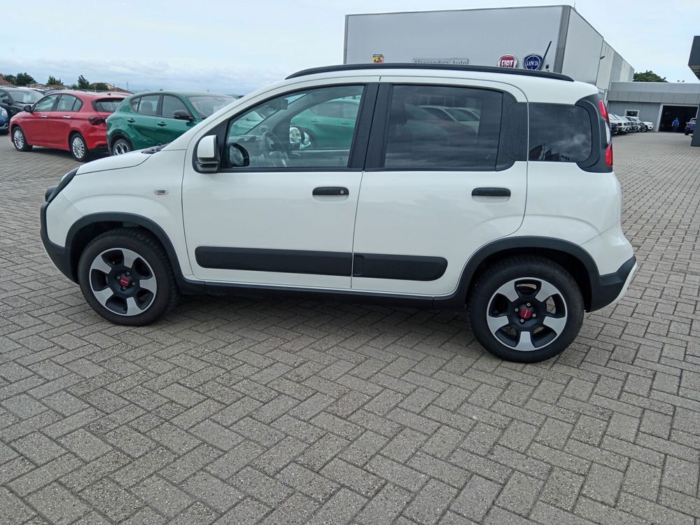 Fiat Panda Cross usata a Alessandria (9)