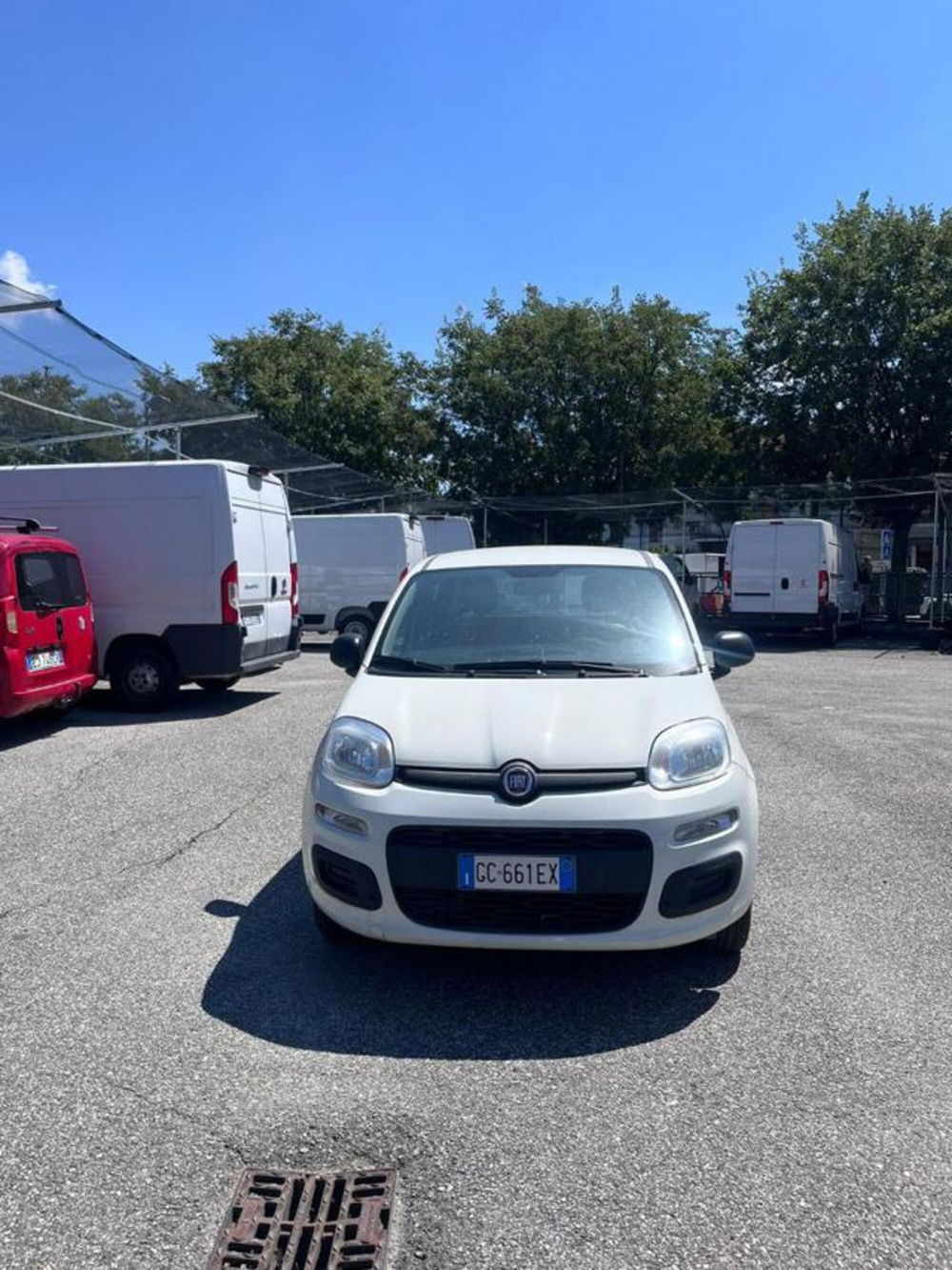 Fiat Panda usata a Cuneo (7)