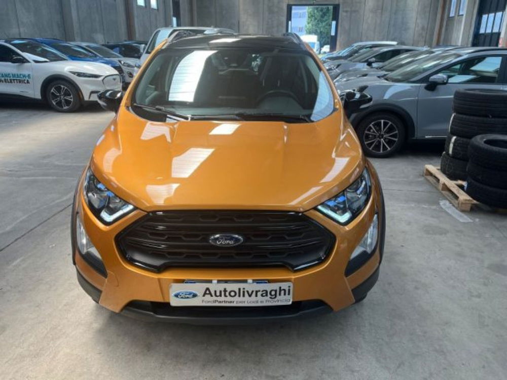 Ford EcoSport usata a Lodi (4)