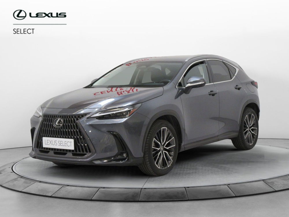 Lexus NX usata a Firenze