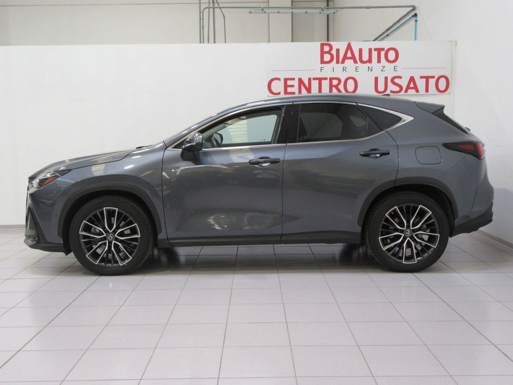 Lexus NX usata a Firenze (3)