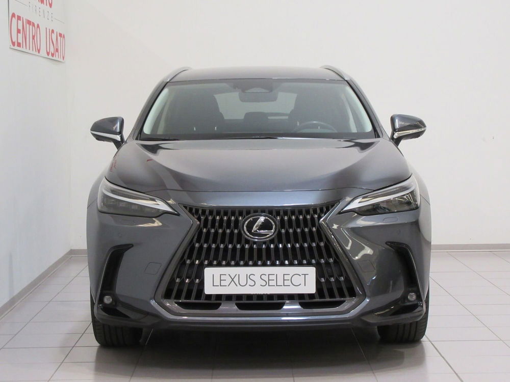 Lexus NX usata a Firenze (5)