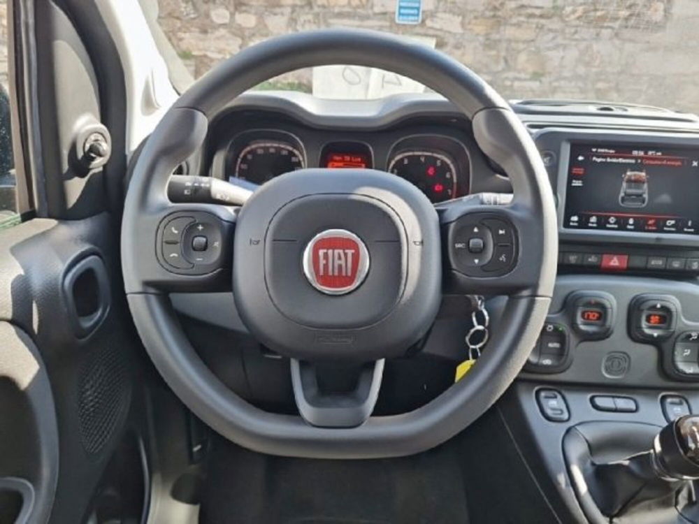 Fiat Panda Cross usata a Monza e Brianza (13)