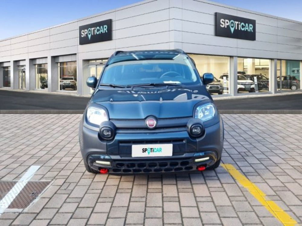 Fiat Panda Cross usata a Monza e Brianza (2)