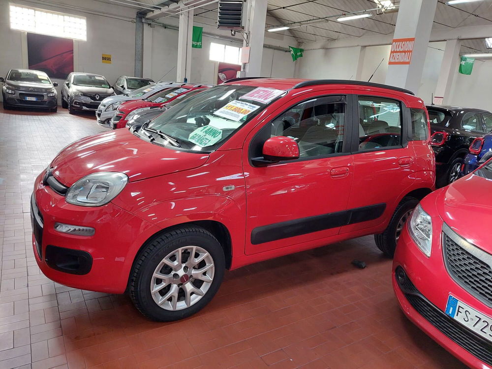 Fiat Panda usata a Lucca (2)