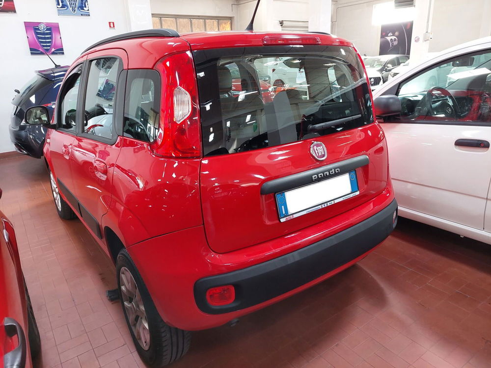 Fiat Panda usata a Lucca (3)