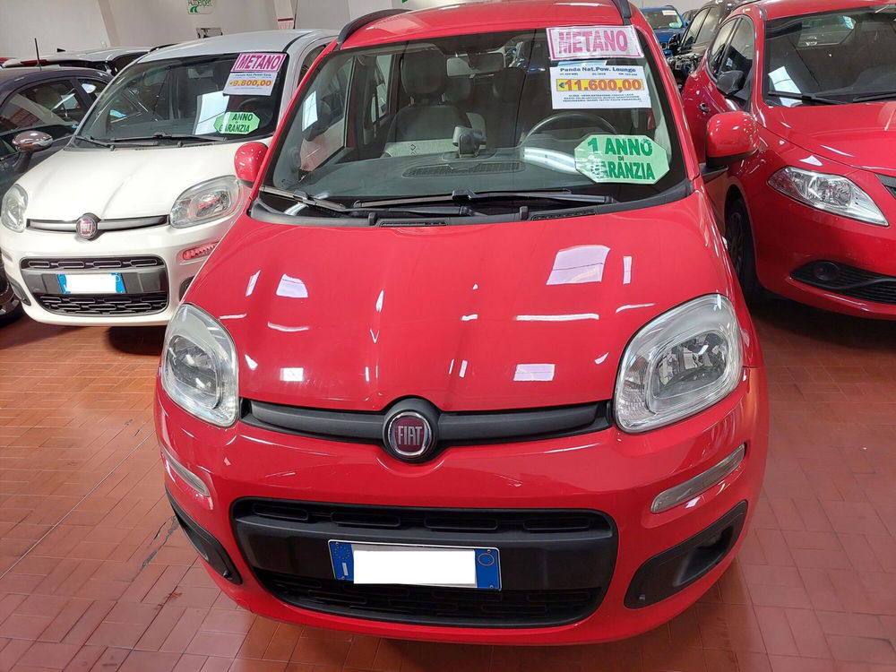 Fiat Panda usata a Lucca (8)