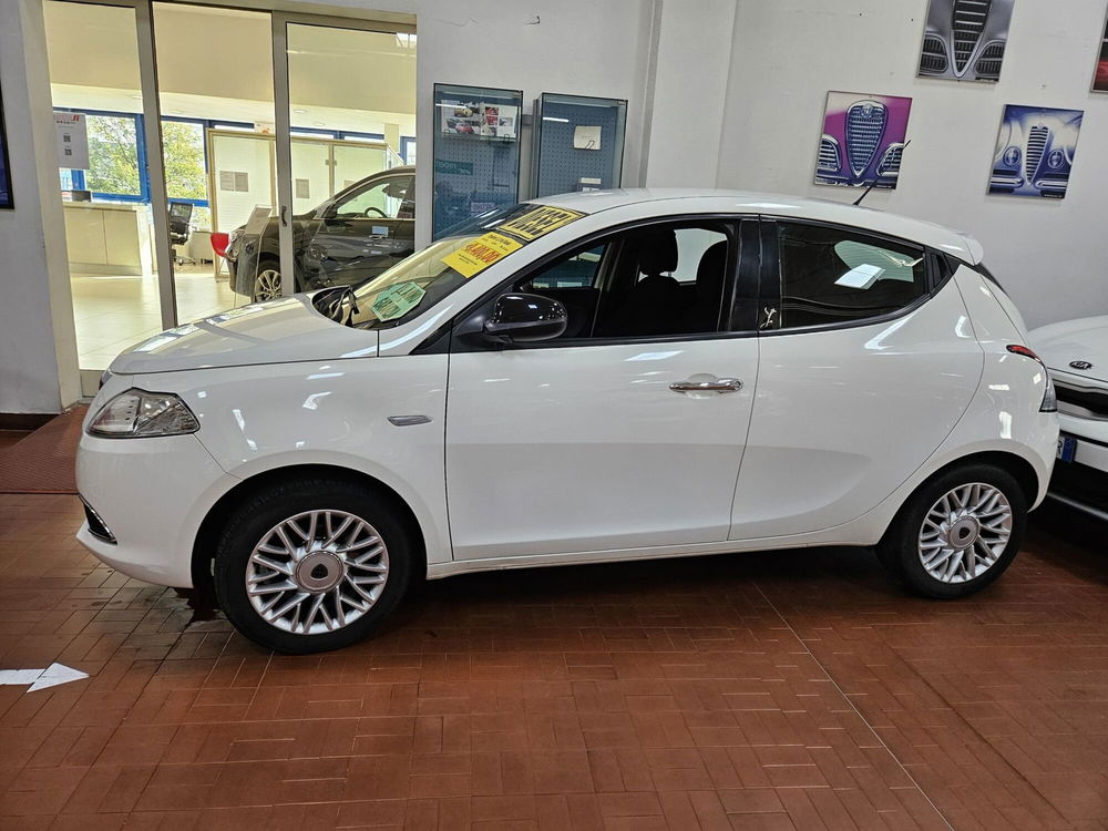 Lancia Ypsilon usata a Lucca (2)