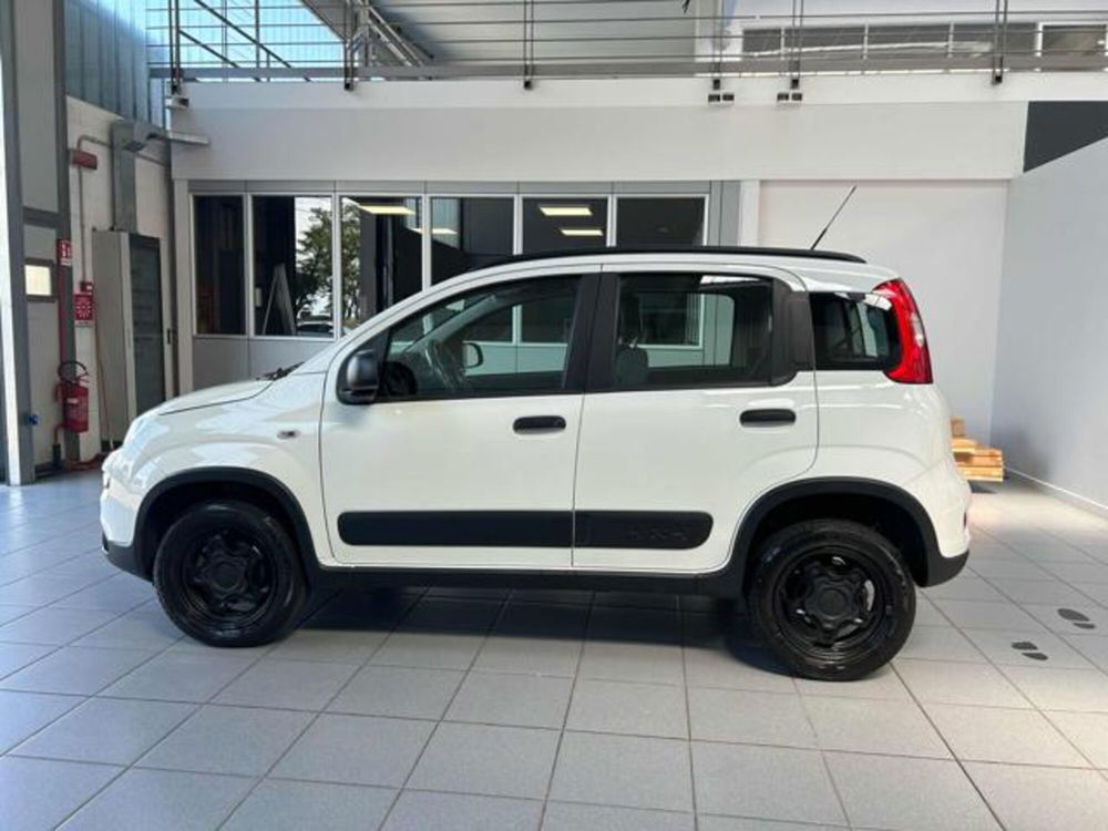 Fiat Panda usata a Vercelli (7)