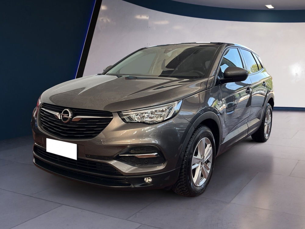 Opel Grandland X usata a Torino (2)