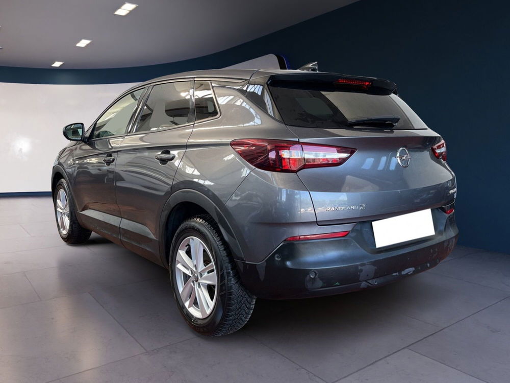 Opel Grandland X usata a Torino (4)