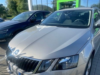 Skoda Octavia Station Wagon 1.0 TSI Wagon Executive  del 2018 usata a Paruzzaro