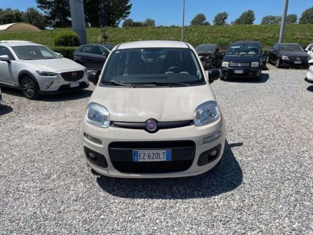 Fiat Panda usata a Lucca (3)