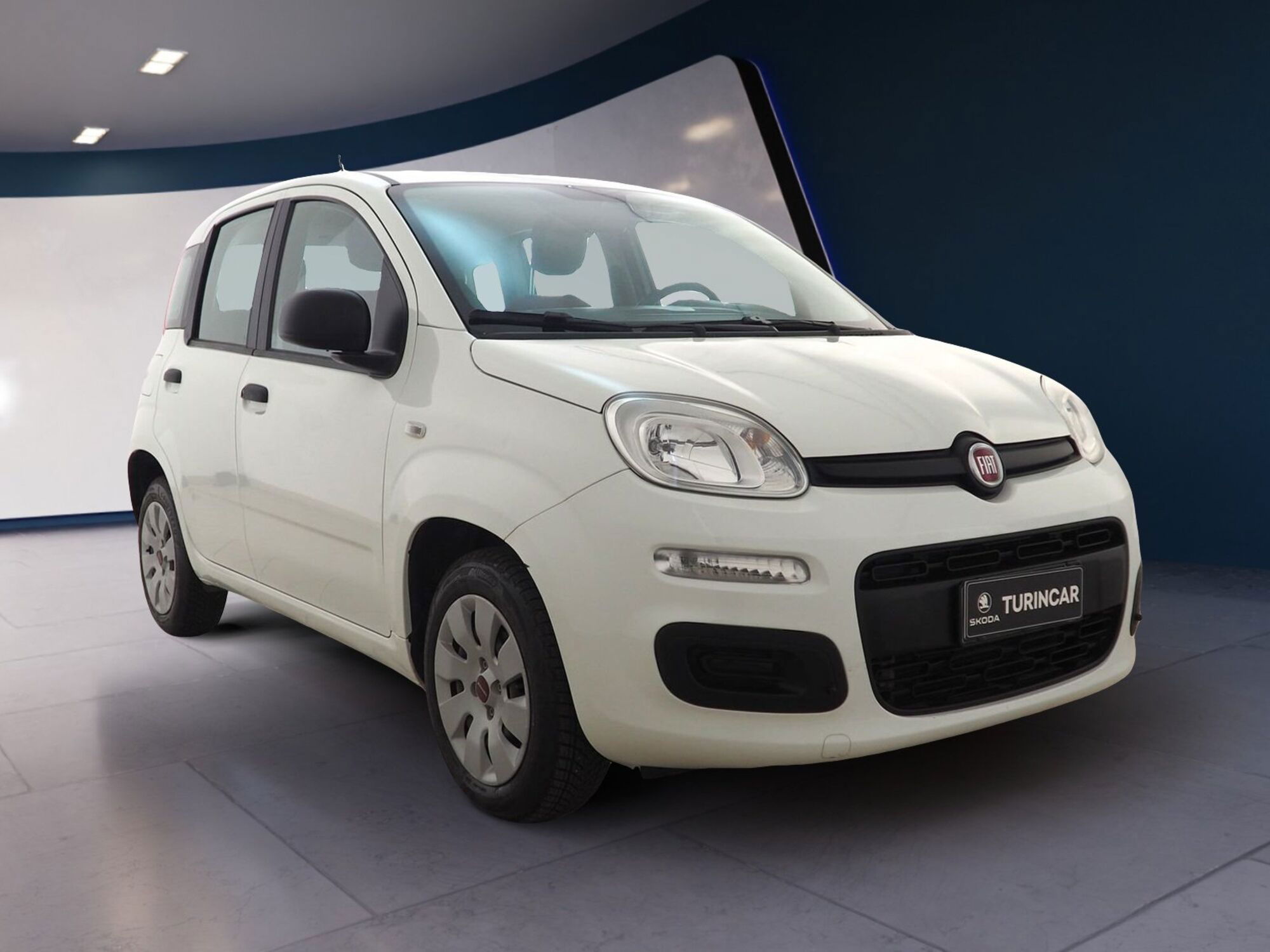 Fiat Panda 1.2 Pop  del 2020 usata a Torino