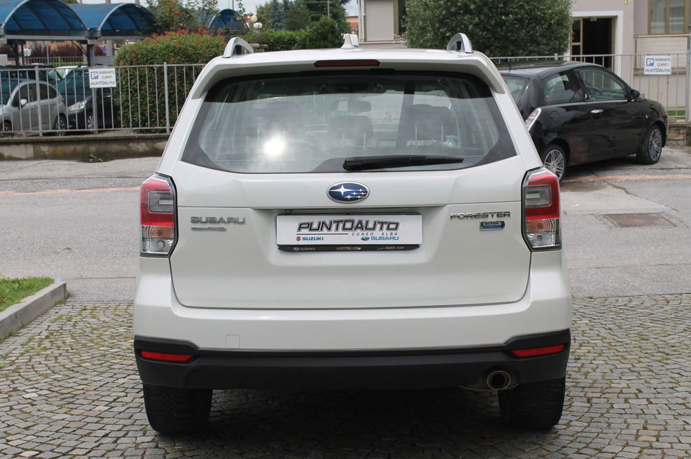 Subaru Forester usata a Cuneo (4)