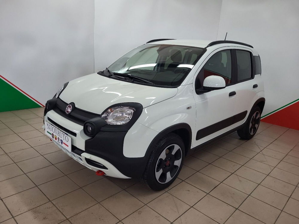 Fiat Panda Cross nuova a Arezzo