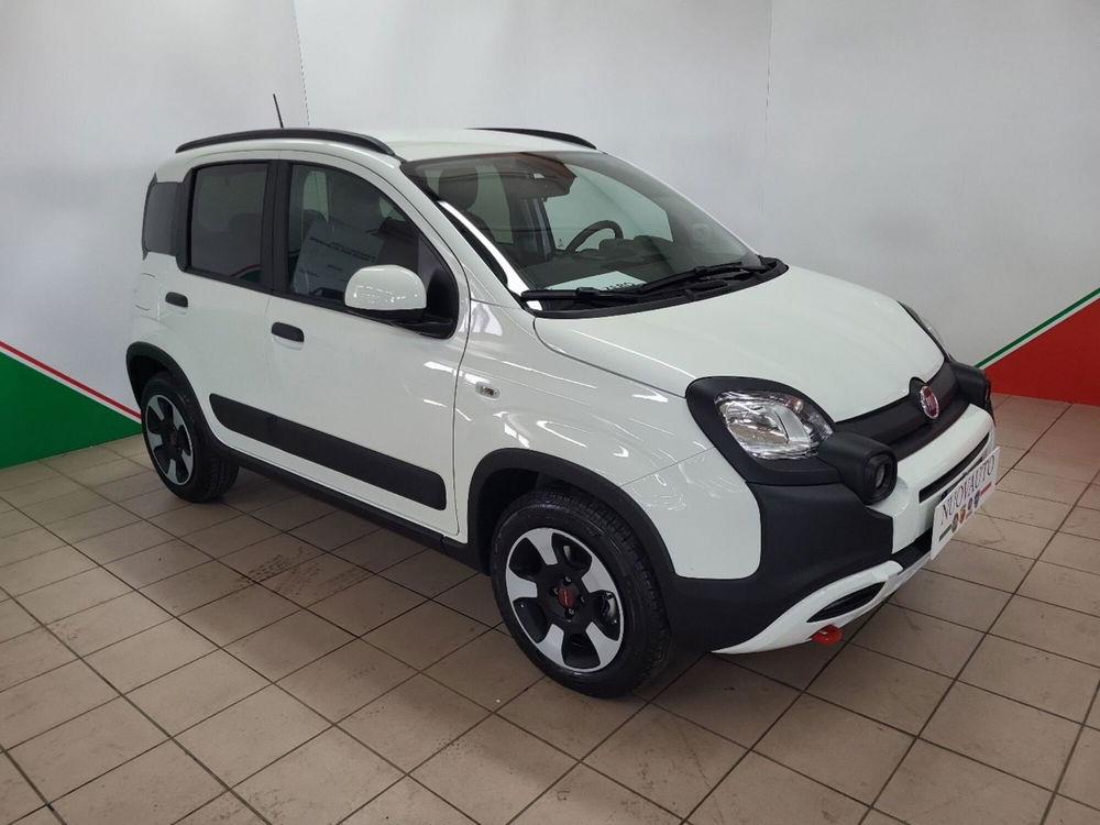 Fiat Panda Cross nuova a Arezzo (2)