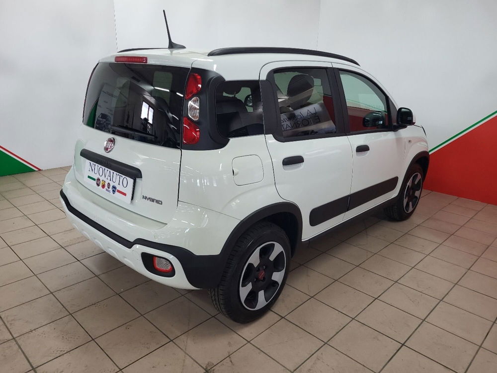 Fiat Panda Cross nuova a Arezzo (3)