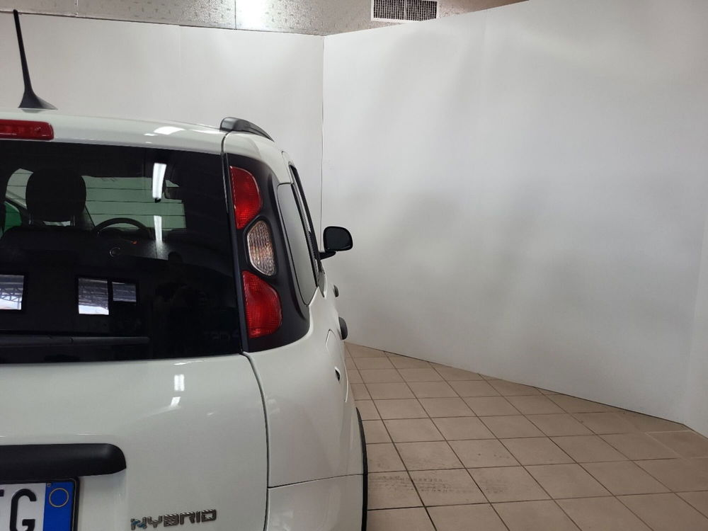 Fiat Panda Cross nuova a Arezzo (6)