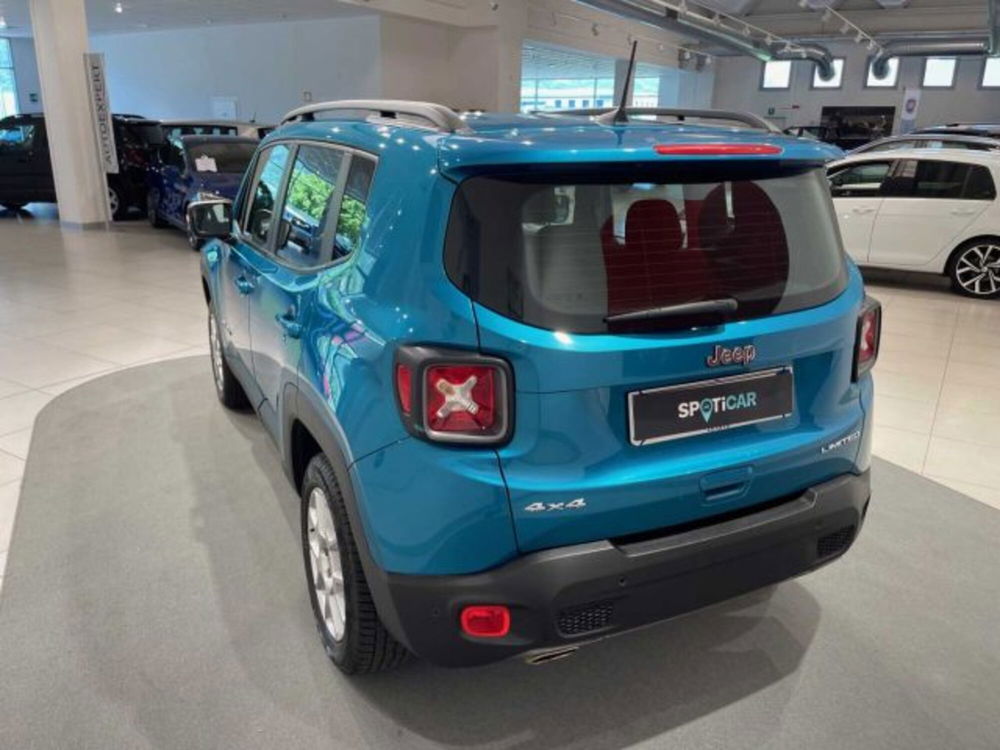 Jeep Renegade usata a Sondrio (3)