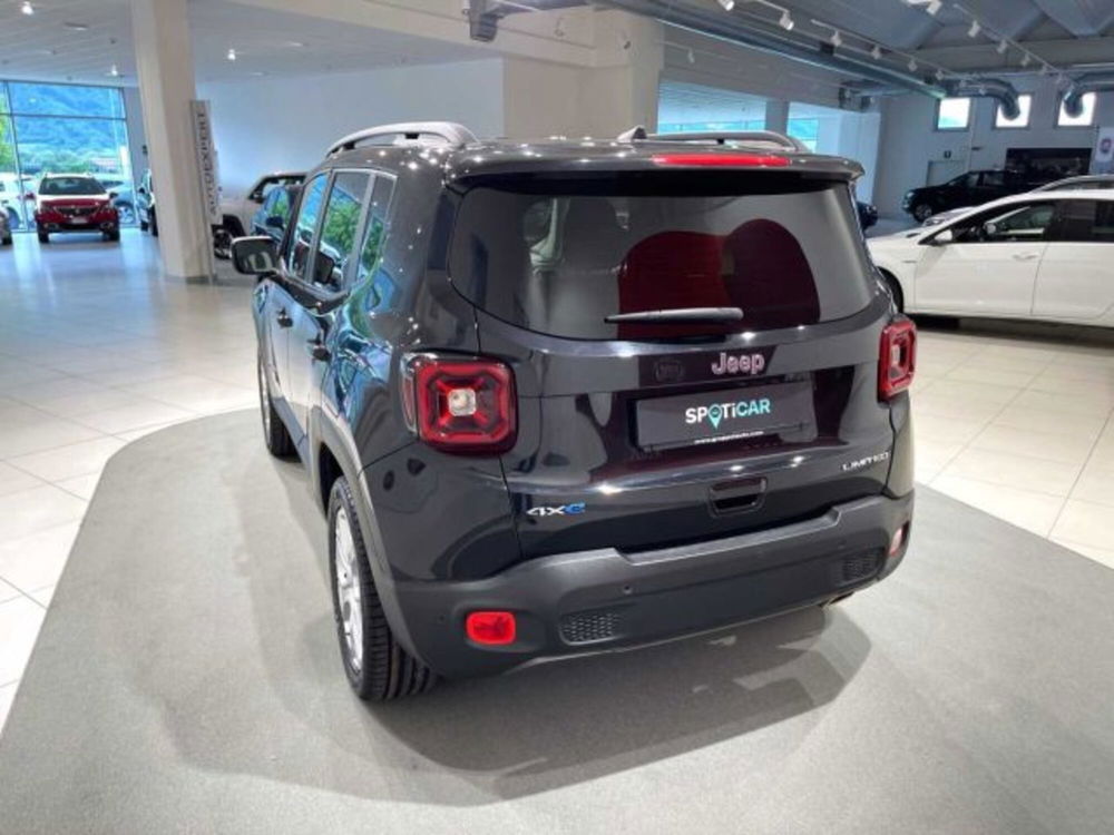 Jeep Renegade usata a Sondrio (3)