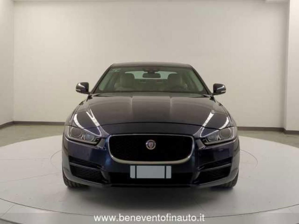 Jaguar XE usata a Avellino (2)