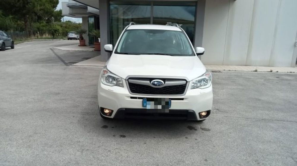 Subaru Forester usata a Macerata (2)