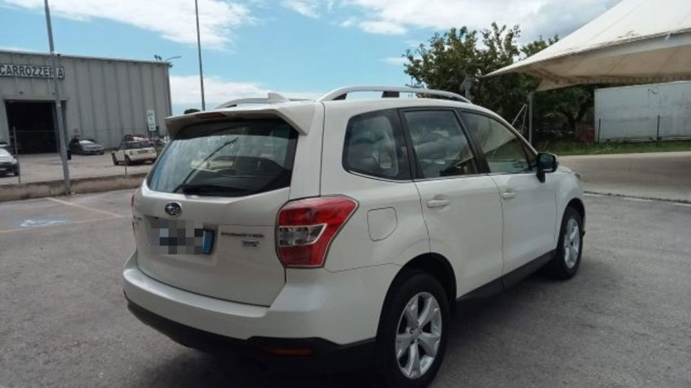 Subaru Forester usata a Macerata (5)