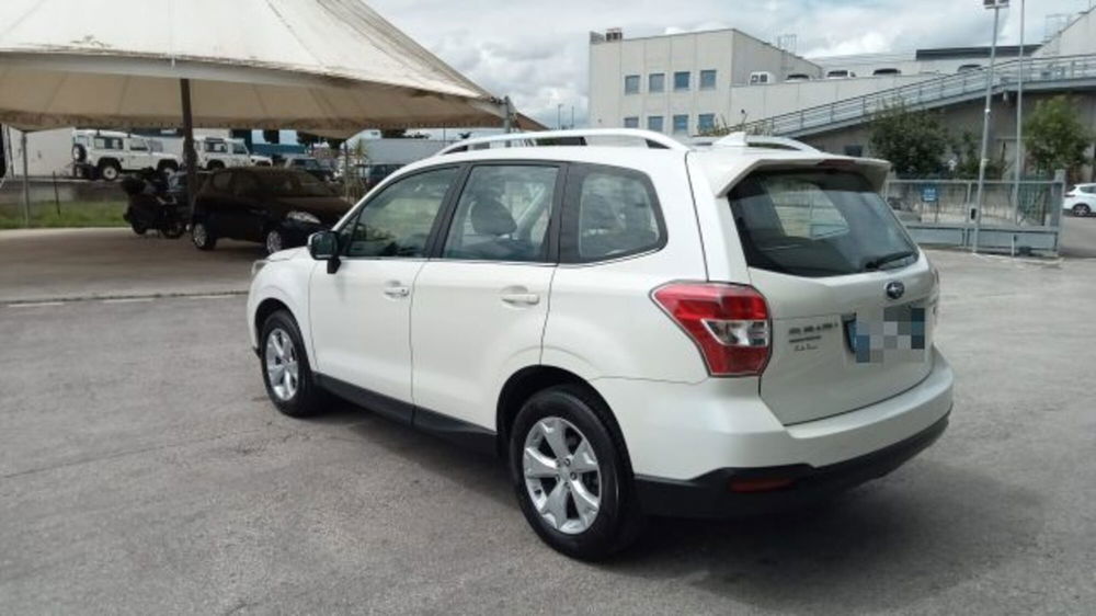 Subaru Forester usata a Macerata (8)