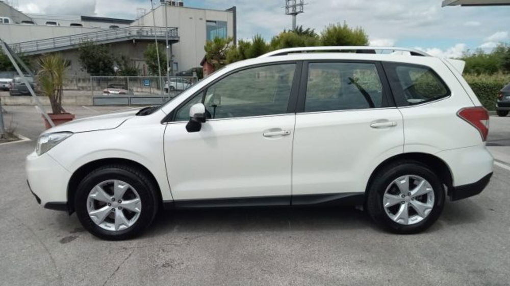 Subaru Forester usata a Macerata (9)