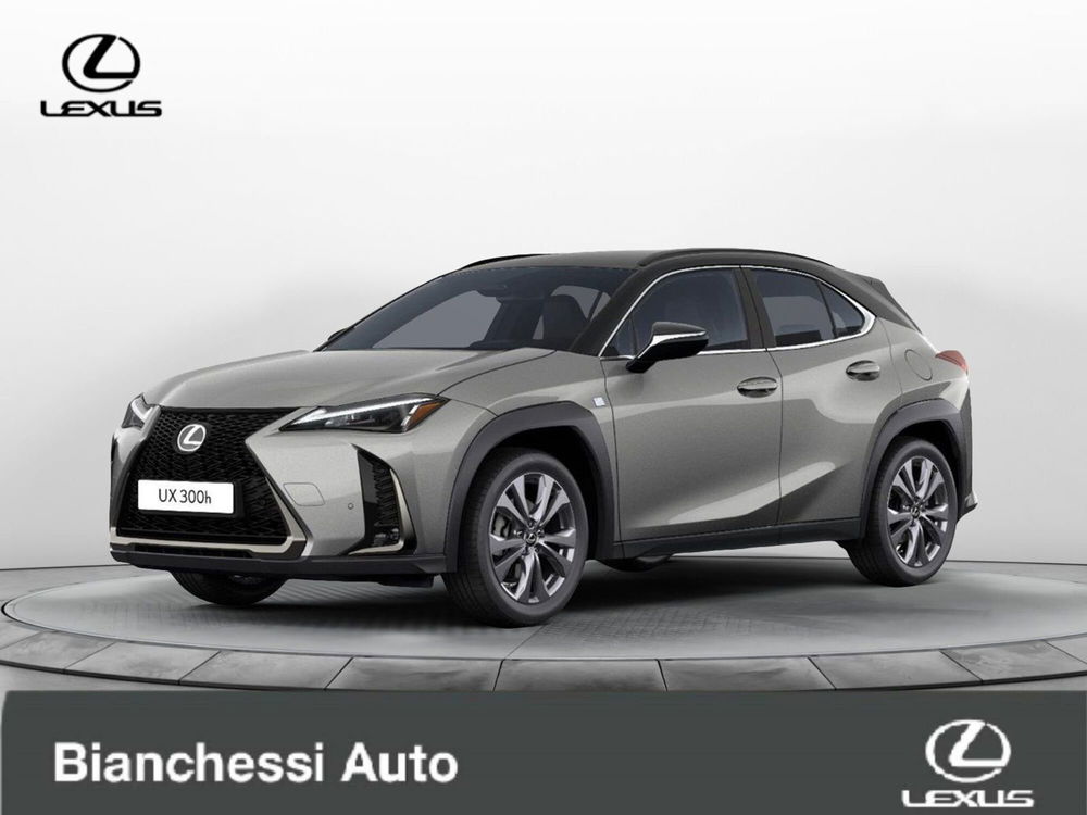 Lexus UX nuova a Cremona