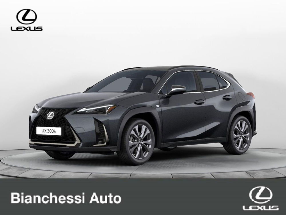 Lexus UX nuova a Cremona