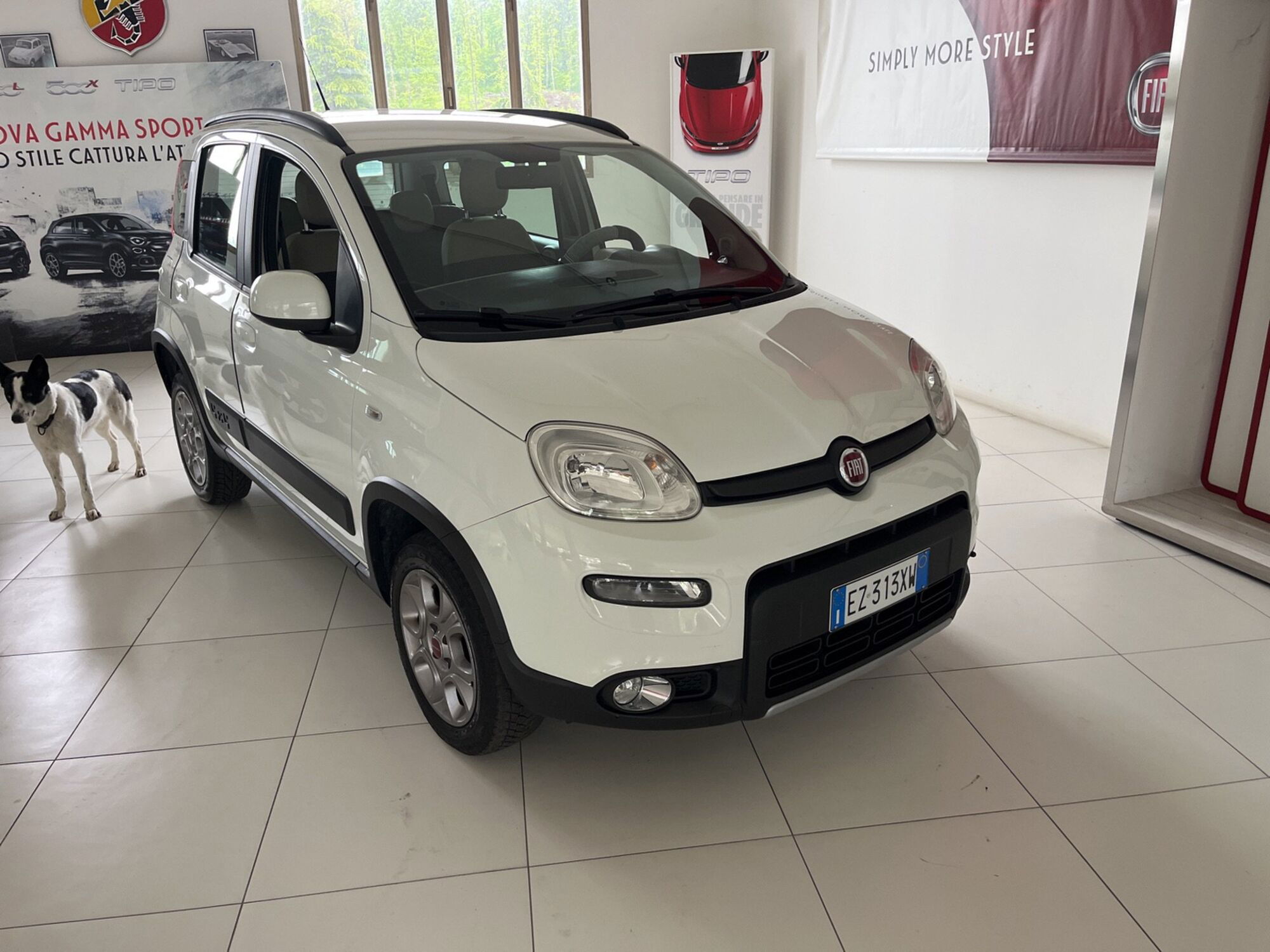 Fiat Panda 1.3 MJT S&amp;S 4x4 del 2015 usata a Castelnovo ne&#039; Monti