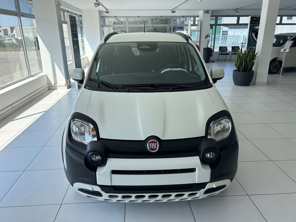 Fiat Panda Cross nuova a Bergamo (7)