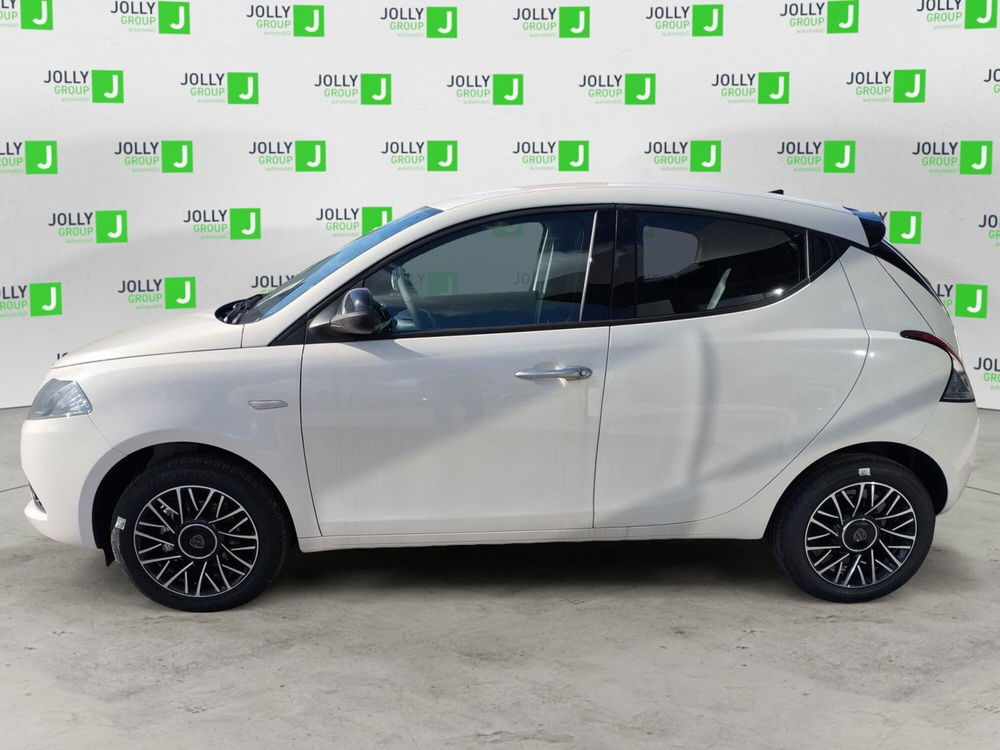 Lancia Ypsilon nuova a Frosinone (3)