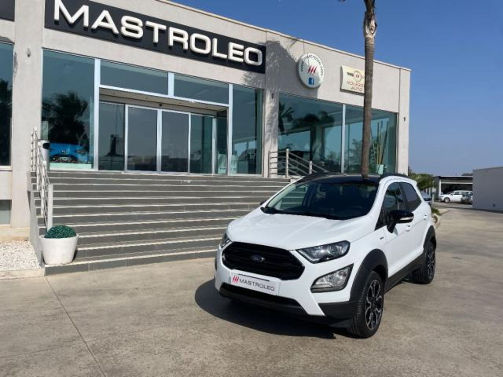 Ford EcoSport 1.0 EcoBoost 125 CV Start&amp;Stop Active del 2022 usata a Tricase