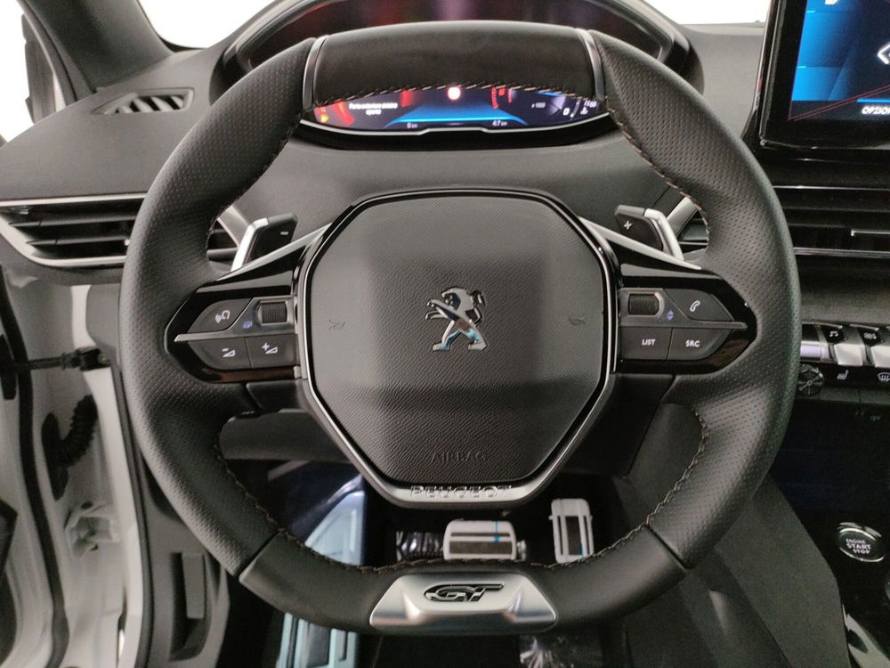 Peugeot 3008 usata a Caserta (19)