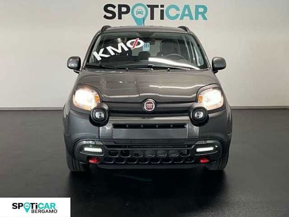 Fiat Panda Cross nuova a Bergamo (3)