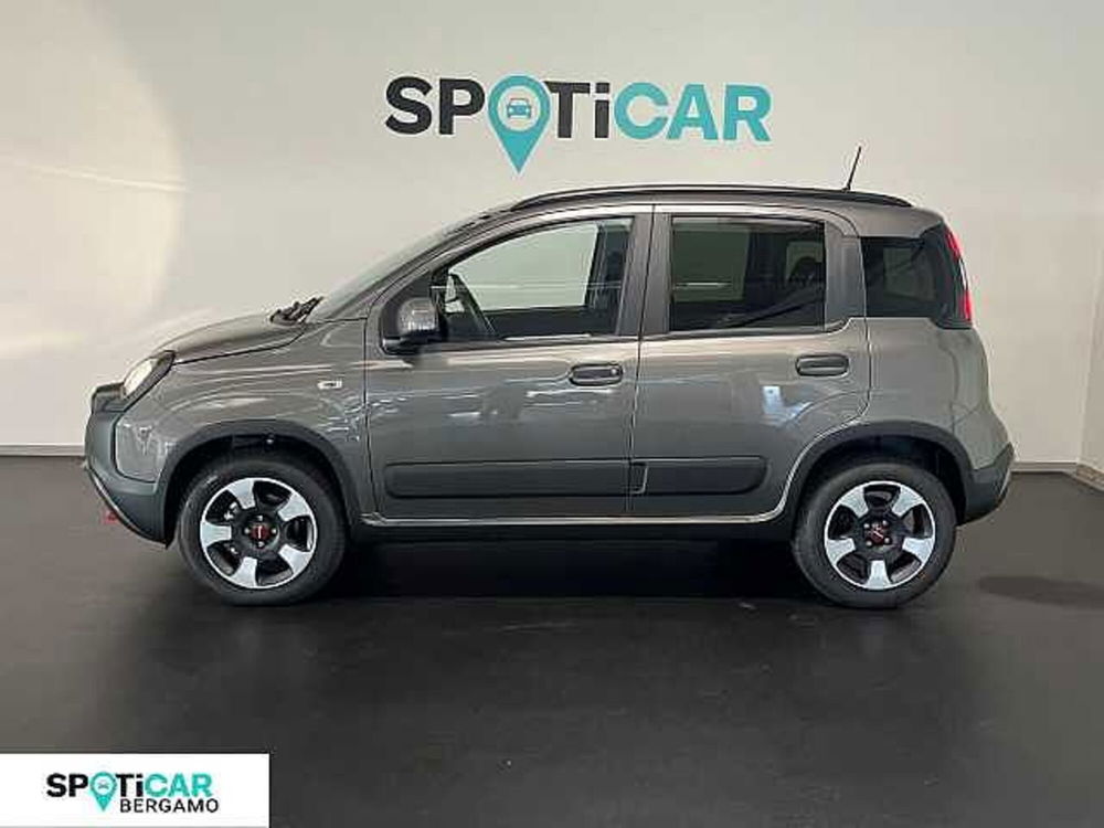 Fiat Panda Cross nuova a Bergamo (4)